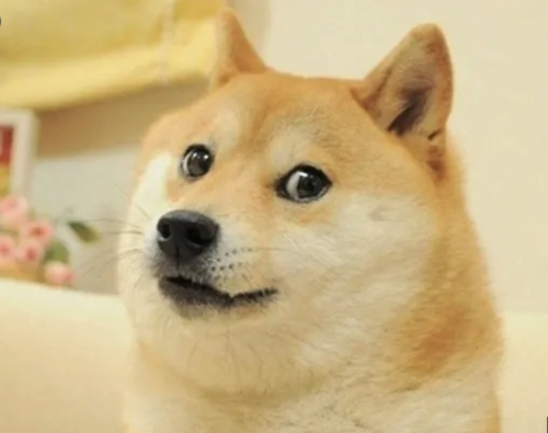 La imagen de "Doge" fue comprada por 4 millones de dólares. (Foto: Oficial)