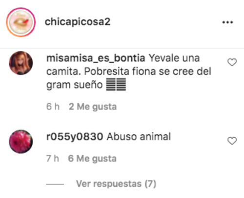 Eugenio Derbez, maltrato animal, Fiona