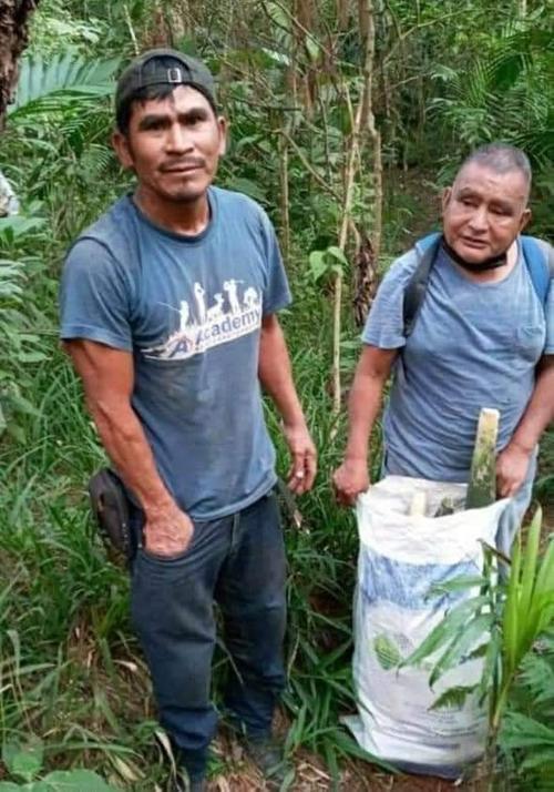 Los dos hombres robaron 96 pacayas, que podrían tener un costo aproximado de Q150 quetzales en el mercado La Terminal de la ciudad capital. 