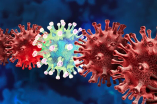 El coronavirus necesita de la enzima proteasa para replicarse. (Foto: archivo/Soy502)