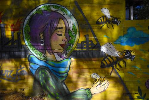 Cada espacio está dedicado a la protección y conservación de las abejas. (Foto: Wilder López/Soy502)