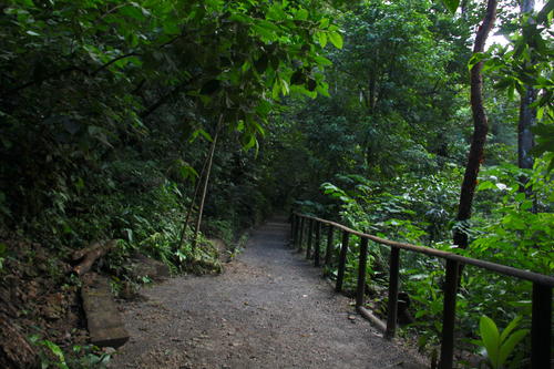 El recorrido por su sendero es fresco debido a la gran cantidad de árboles que rodean el parque. (Foto: Fredy Hernández/Soy502)