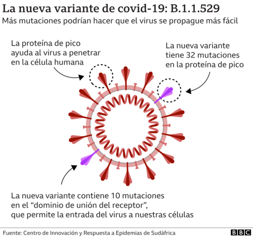 La nueva variante Ómicron tiene más mutaciones que podrían hacer que el virus se propague con más facilidad. (Foto: BBC)