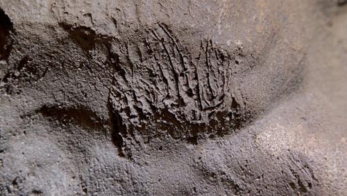 Evidencia de la presencia de humanos. (Foto: Museo Nacional de Gibraltar)