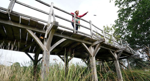 El puente de Winnie Pooh será subastado. (Foto: Summer's Place Auctions)