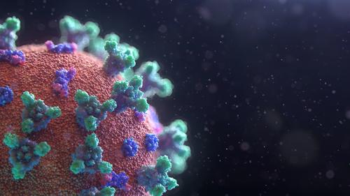 El coronavirus puede volver a infectar con más frecuencia a los no vacunados. (Foto: archivo/Soy502)