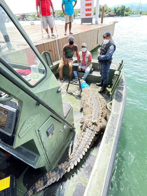 El cocodrilo fue trasladado hacia el Río Chocón para ser liberado. (Foto: Ejército de Guatemala)