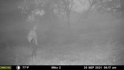 La cámara captó al hombre deambulando dentro de la reserva. 