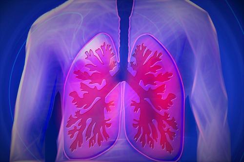 Los pulmones pueden verse seriamente afectados en algunas personas que padecen covid. (Foto: Pixabay)