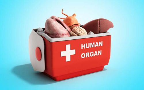 El MSPAS determinará qué órganos, tejidos y células humanas se pueden donar. (Gráfica: Health Change)
