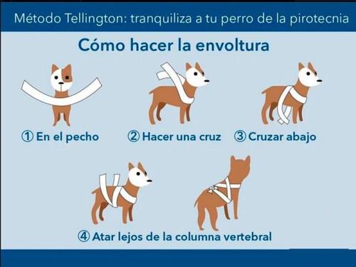 perros, juegos artificiales, navidad