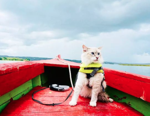 Polo en Pet&eacute;n. (Foto: Instagram)