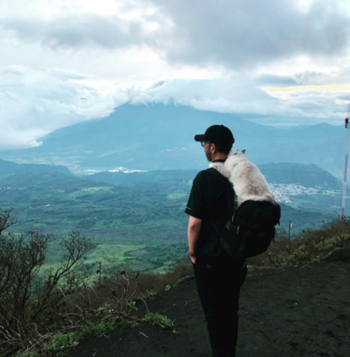 Polo en el Volc&aacute;n de Pacaya. (Foto: Instagram)