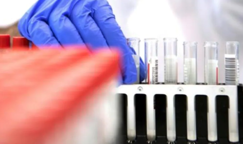 (Foto: swissingo.ch) 