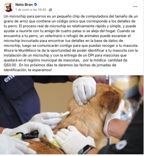 Publicaci&oacute;n del alcalde de Mixco, Neto Bran. (Foto: Captura de pantalla)