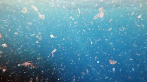 Los pequeños fragmentos llamados microplásticos podrían acelerar el derretimiento del hielo en la Antártida. (Foto: Getty Images)