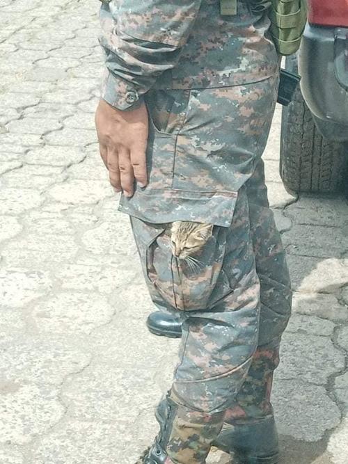 Cristian Eduardo Chan Macario con el gatito en el bolsillo del pantalón. (Foto: Noticias del Sur)