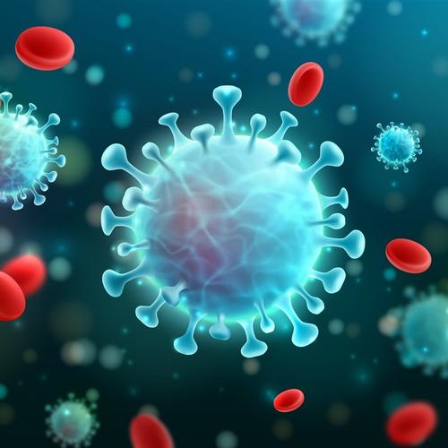 (Foto: National Geographic) 