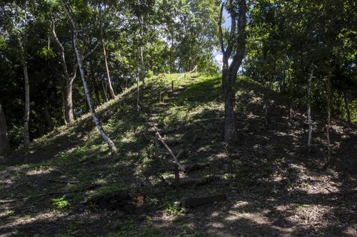 Varios mont&iacute;culos se encuentran cubiertos por la vegetaci&oacute;n. (Foto: AFP)