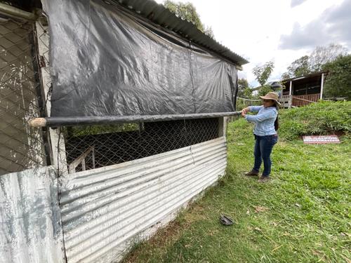 Es importante proteger a los animales de corral para que no padezcan de las bajas temperaturas. (Foto: MAGA)