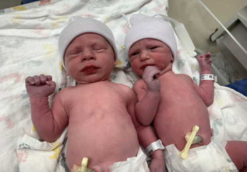 Los gemelos Timothy Ronald y Lydia Ann. (Foto: NEDC)