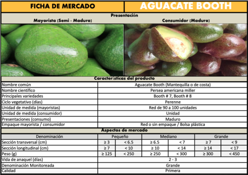 Ficha t&eacute;cnica del aguacate Booth. (Cuadro: MAGA)