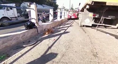 Un canino fue rescatado después de quedar en uno de los vehículos accidentado en la ruta Interamericana. (Foto: Bomberos Voluntarios)