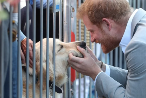 En 2018 tambi&eacute;n tuvo un cari&ntilde;oso gesto con un can. (Foto: Clar&iacute;n)