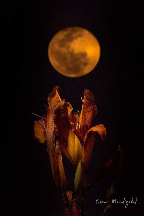 Foto: Oscar Eduardo Mendiz&aacute;bal