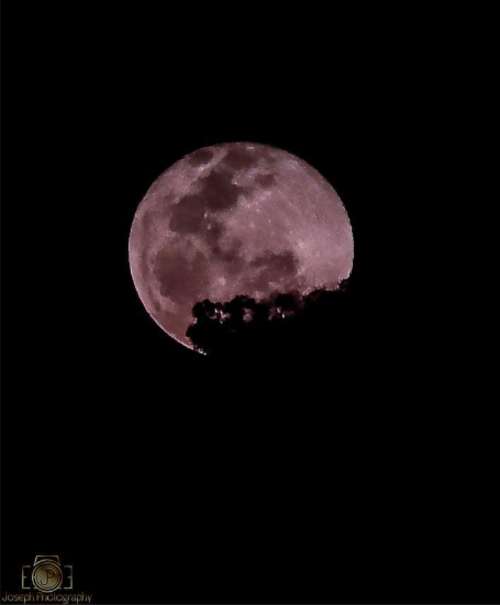 Foto: Joseph Photography