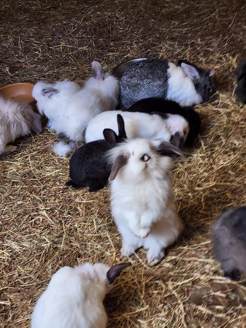 (Foto: Finca Los Fernandos)