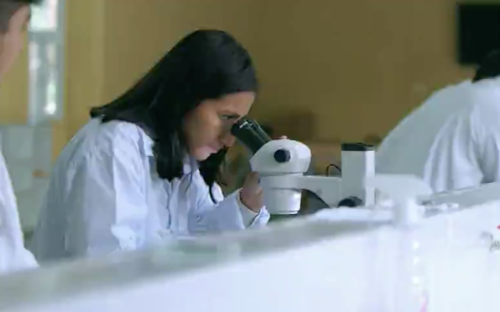 Mayra Lineth est&aacute; por graduarse este 2023 de Ingeniera Forestal. (Foto: captura de pantalla)