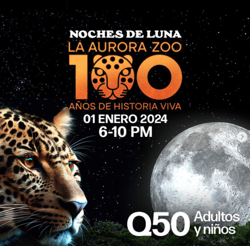 Zoológico La Aurora, Noches de Luna  2024