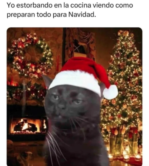 Navidad, memes, 24 de diciembre