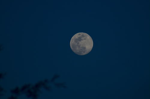 Este 26 de diciembre será el día en el que la Luna brille en su totalidad. (Foto: Fredy Hernández/Soy502)