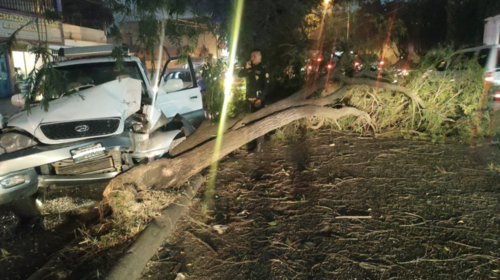 El vehículo impactó contra un árbol en la 22 avenida y 2da calle del bulevar Villa Deportiva, ubicado en la zona 8 de Mixco.