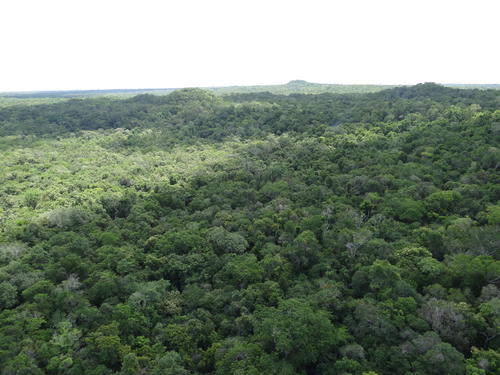 La  Cuenca Kárstica Mirador-Calakmul donde se determinó el hallazgo. (Foto: Oficial)