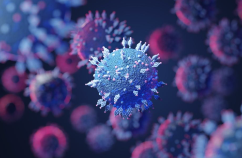 (Foto: Shutterstock) 