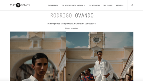 Así es el portafolio de Rodrigo Ovando presentado por Aegency. (Foto: captura de pantalla)