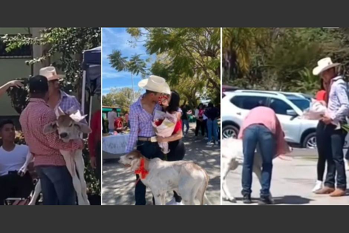 El joven demostr&oacute; su amor con un peculiar regalo. (Foto: captura de pantalla)