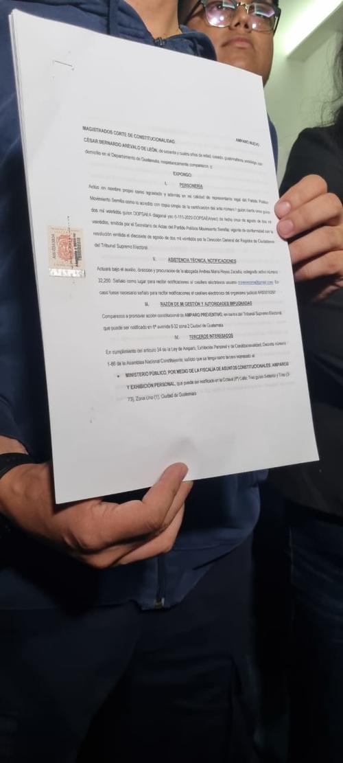 El Movimiento Semilla presentó un amparo ante la CC para evitar que el TSE tenga que acatar lo ordenado por un juez. (Foto: cortesía)