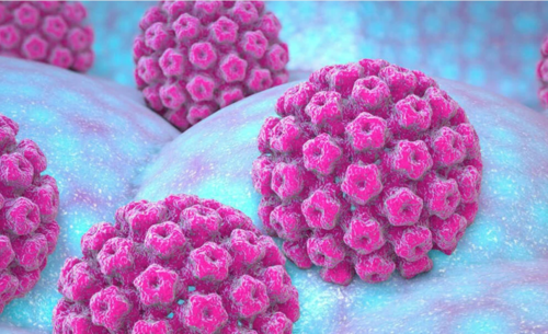 El VPH es un conjunto de varios tipos de virus relacionados. (Foto: Organización Panamericana de la Salud)
