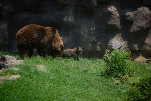 Oli con su mam&aacute; Polina. (Foto: Wilder L&oacute;pez/Soy502)