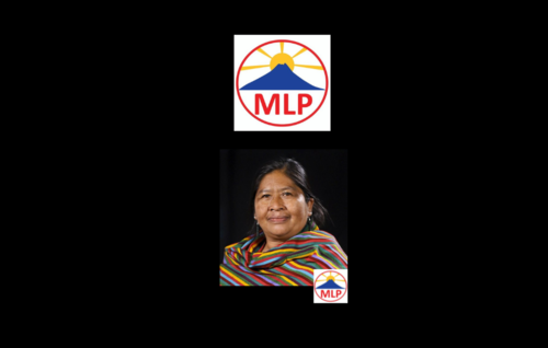 El partido MLP lleva a 1 diputado a la reelecci&oacute;n. (Foto: Soy502)