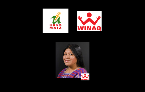 La coalici&oacute;n URNG-Winaq lleva a 1 diputado a la reelecci&oacute;n. (Foto: Soy502)