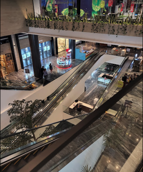 Foto: Yamani Hern&aacute;ndez. 