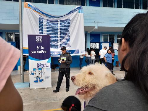 Los guatemaltecos acudieron a los centros de votación acompañados por sus mascotas. (Foto: Sandra Sebastián/Soy502)