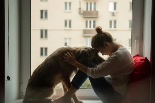 Las mascotas tambi&eacute;n viven su proceso de duelo. (Foto: BunkoPet)