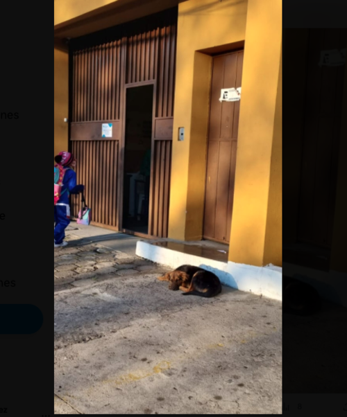 (Foto: Cortesía/Soy502) 