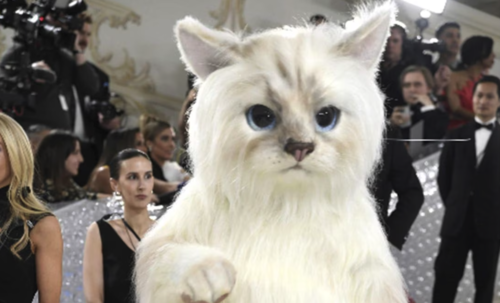 (Foto: Archivo EL UNIVERSAL)